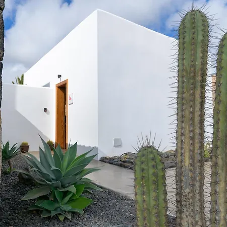 Casa Del Aljibe - El Estudio 別荘