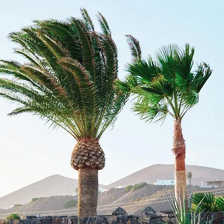 Casa Del Aljibe - El Estudio בית נופש *