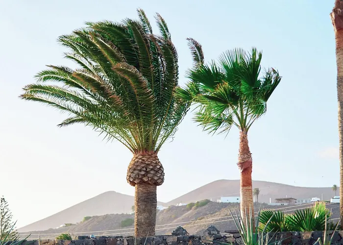 Casa Del Aljibe - El Estudio Nyaraló *